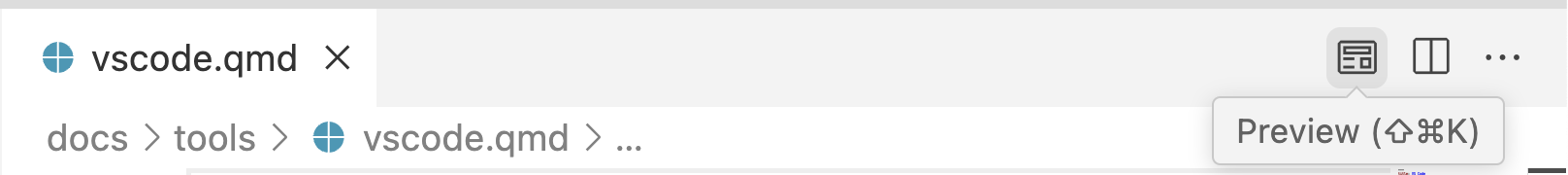 The top of the VS Code editor. The right side of the editor tab area includes a Preview button.